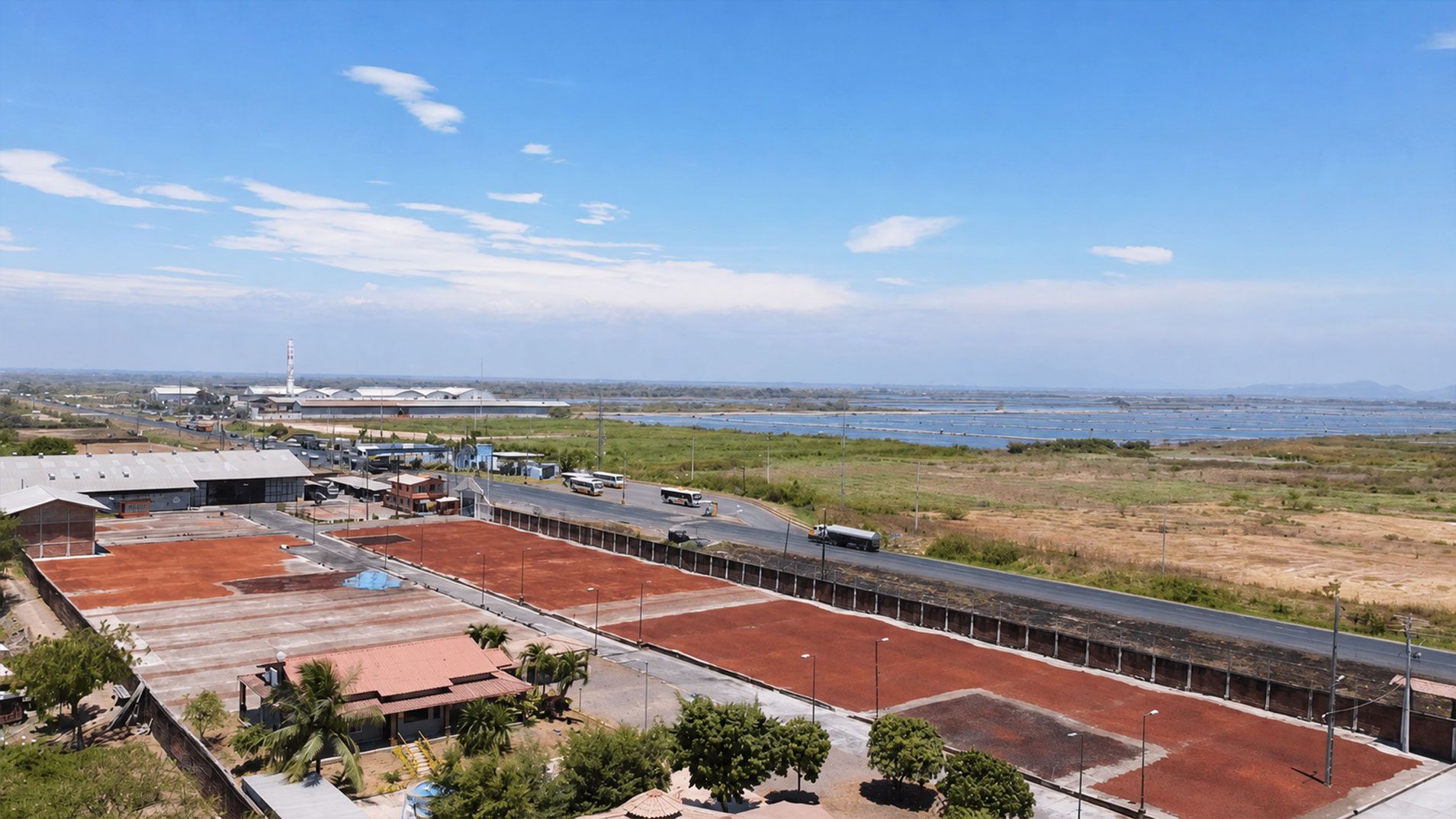 Naranjal — fotografía de referencia, reemplazable por imagen oficial